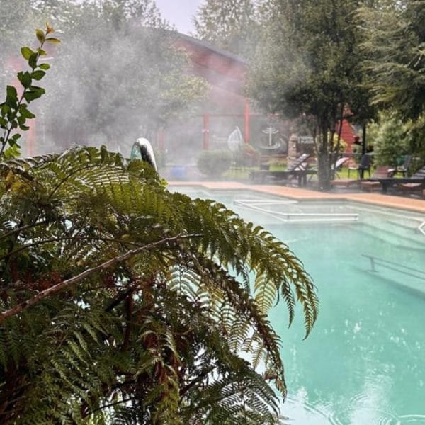 Entrada Día Completo – Parque Termal Botánico en Pucón