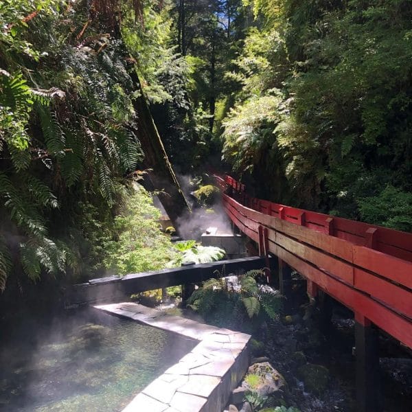 Entrada Día Completo – Parque Termal Botánico en Pucón